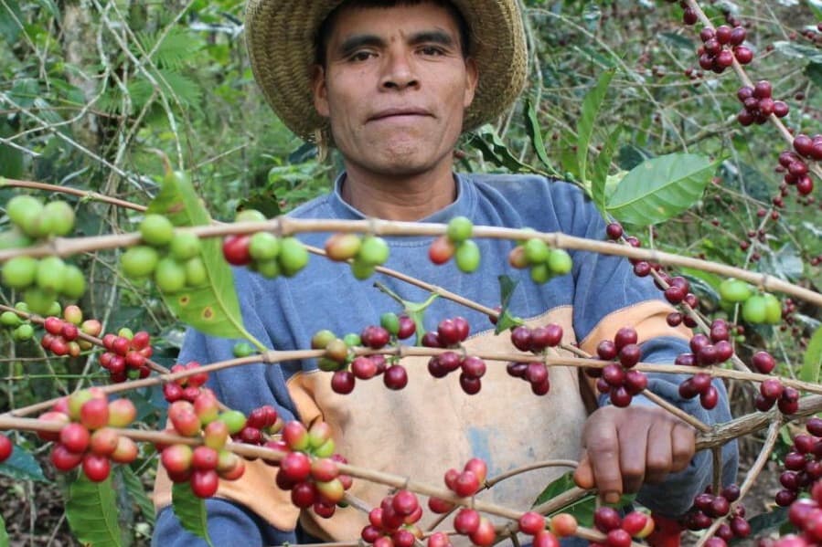 Mexico Red 5 de Diciembre